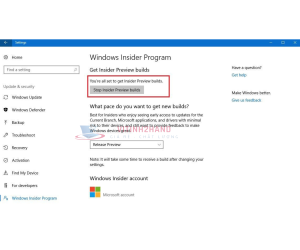 windows 10